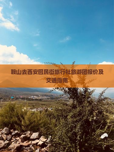 鞍山去西安回民街旅行社