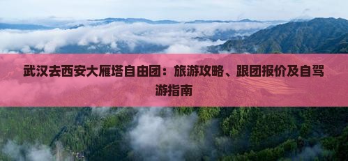 武汉去西安大雁塔自由团
