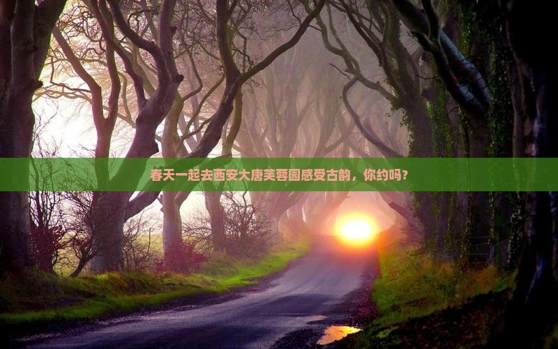 春天去西安大唐芙蓉园团体旅游