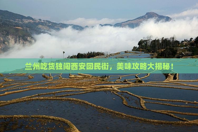兰州去西安回民街个人游