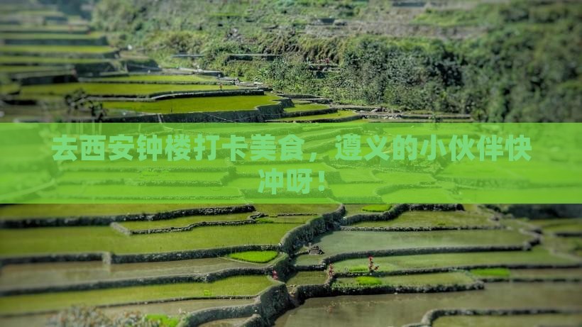 遵义去西安钟楼旅游小吃