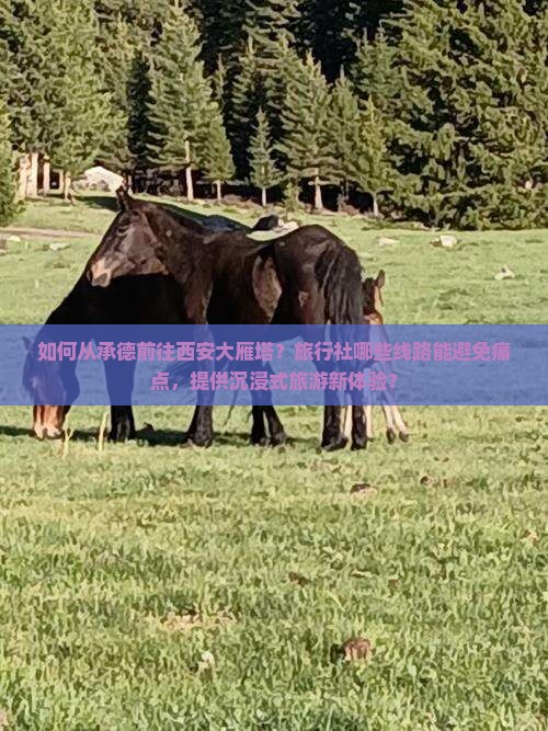 承德到西安大雁塔旅行社 承德到西安大雁塔旅行社