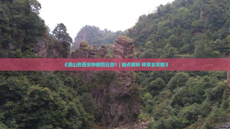 唐山到西安钟楼四日游