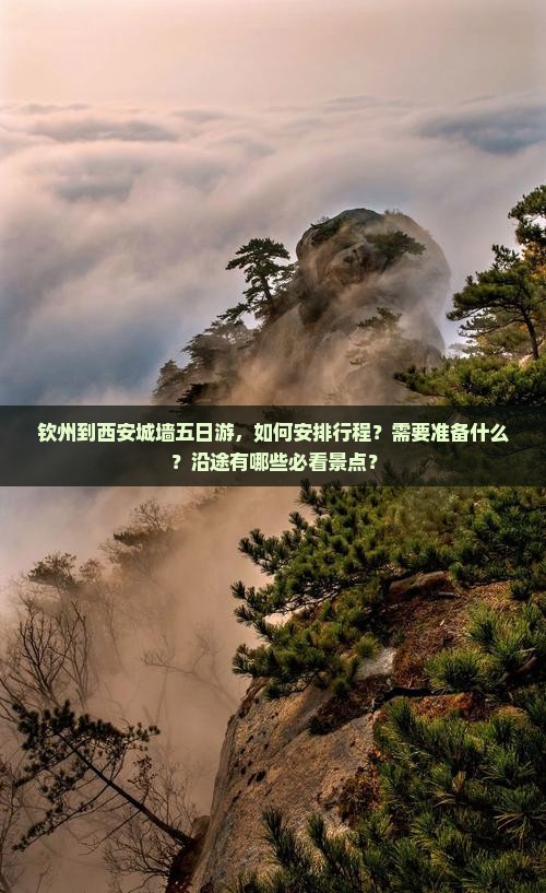 钦州到西安城墙五日游
