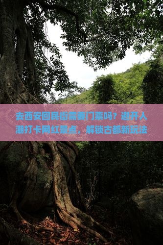 安阳去西安回民街门票