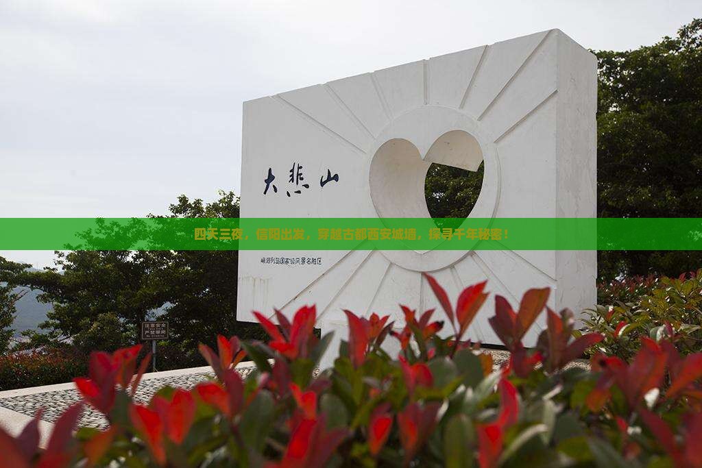 信阳去西安城墙四日游