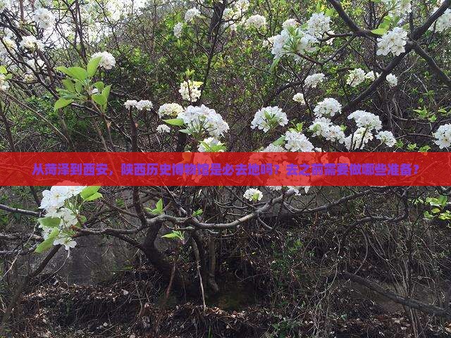 菏泽到西安陕西历史博物馆必去地