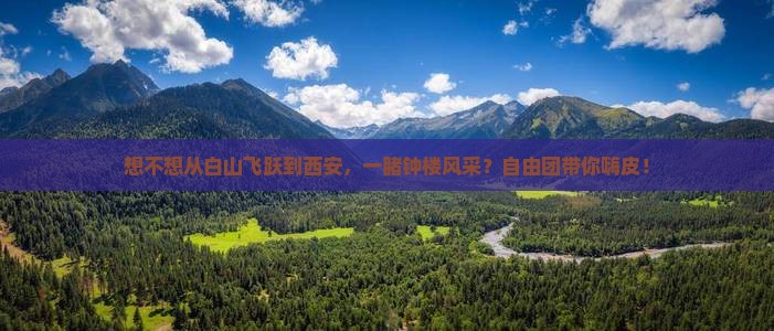 白山到西安钟楼自由团