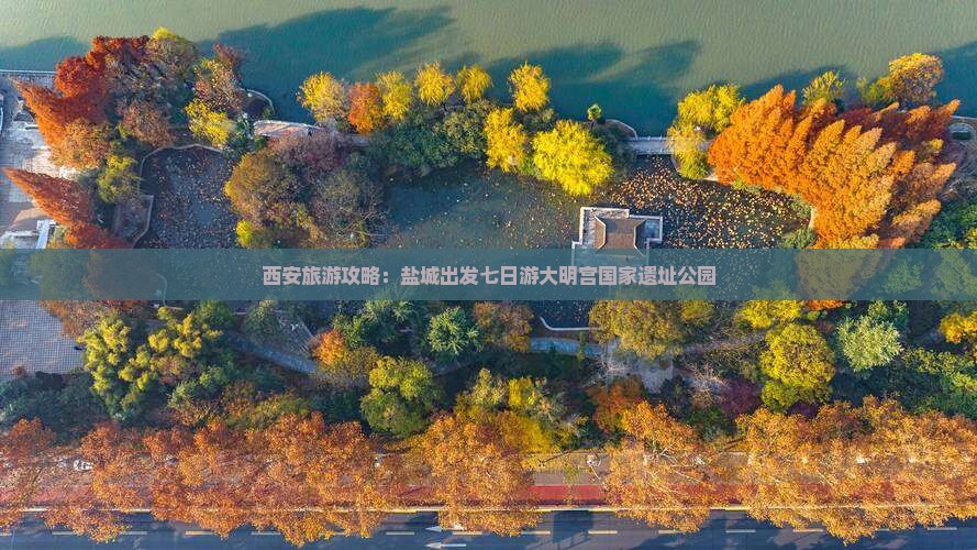 盐城去西安大明宫国家遗址公园七日游