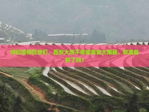 呼和浩特到西安大唐不夜城旅游小吃