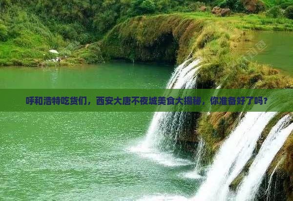 呼和浩特到西安大唐不夜城旅游小吃