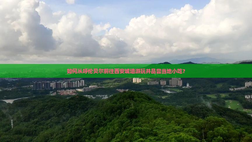 呼伦贝尔去西安城墙旅游小吃