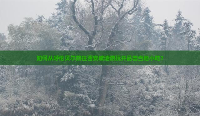 呼伦贝尔去西安城墙旅游小吃