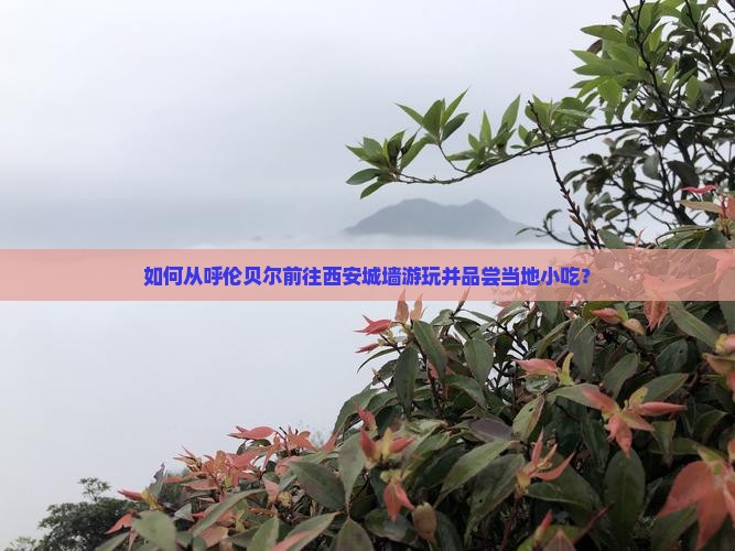 呼伦贝尔去西安城墙旅游小吃