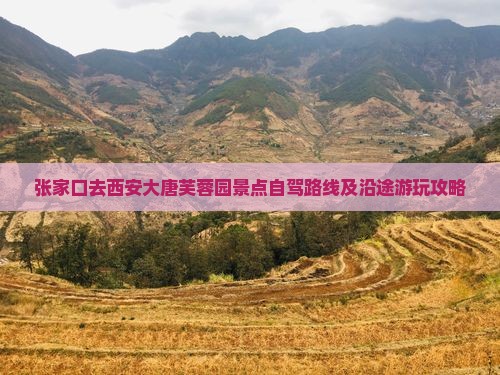 张家口去西安大唐芙蓉园景点