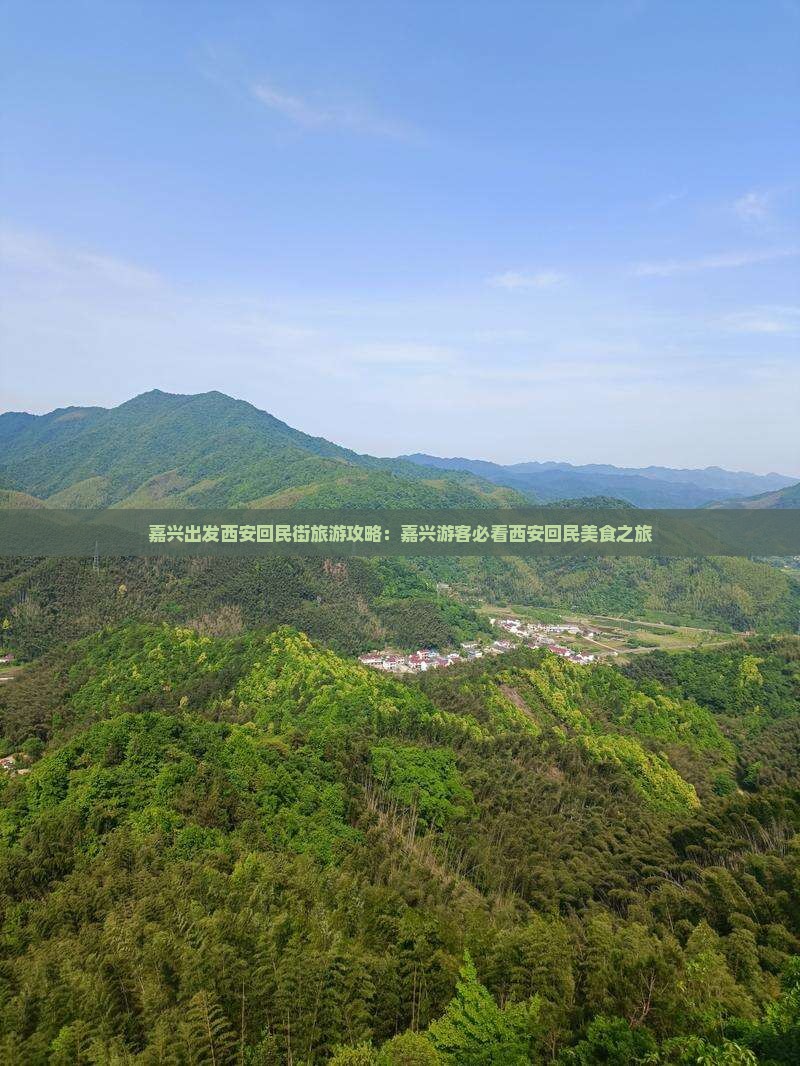 嘉兴到西安回民街景点