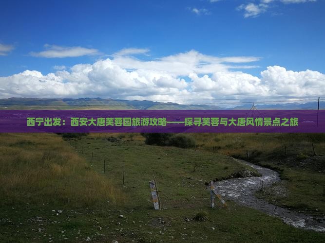 西宁到西安大唐芙蓉园景点