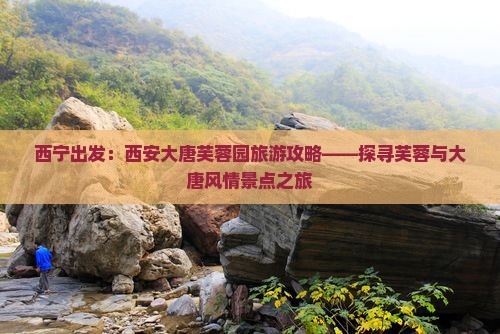 西宁到西安大唐芙蓉园景点