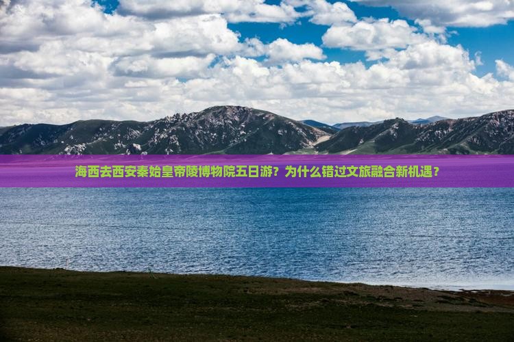 海西去西安秦始皇帝陵博物院五日游