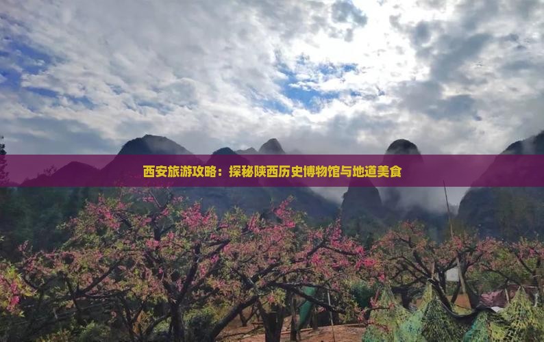菏泽去西安陕西历史博物馆旅游小吃 菏泽去西安陕西历史博物馆旅游小吃