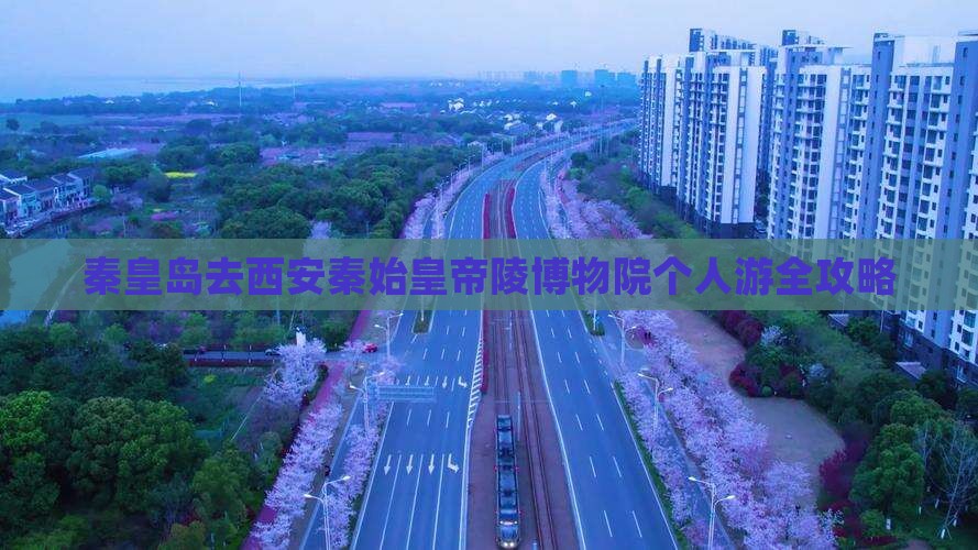 秦皇岛去西安秦始皇帝陵博物院个人游