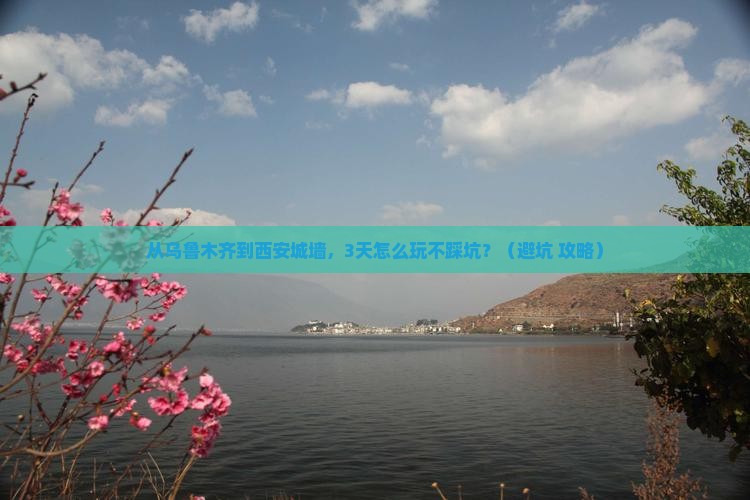 乌鲁木齐到西安城墙旅行社