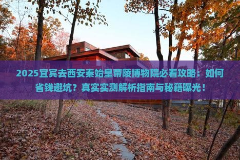 宜宾去西安秦始皇帝陵博物院攻略