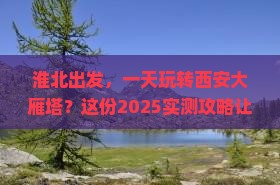淮北去西安大雁塔一日游