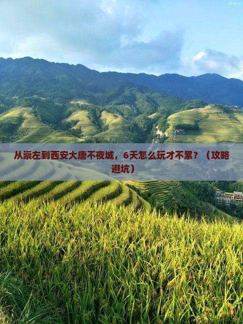 崇左到西安大唐不夜城六日游