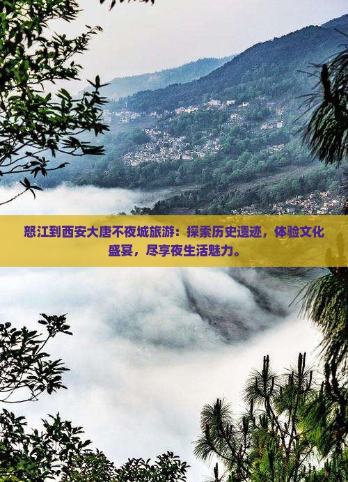 怒江到西安大唐不夜城旅游