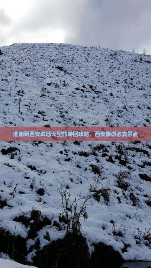 淮南到西安城墙大型旅游团