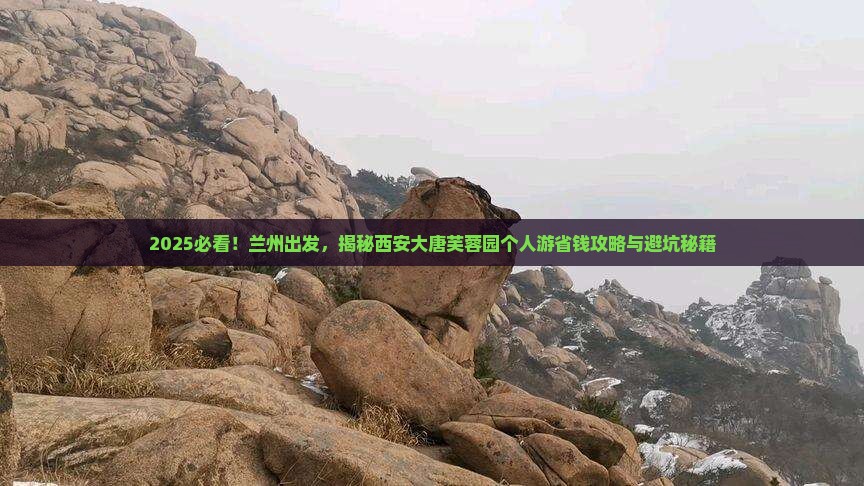 兰州到西安大唐芙蓉园个人游