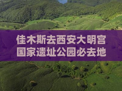 佳木斯去西安大明宫国家遗址公园必去地