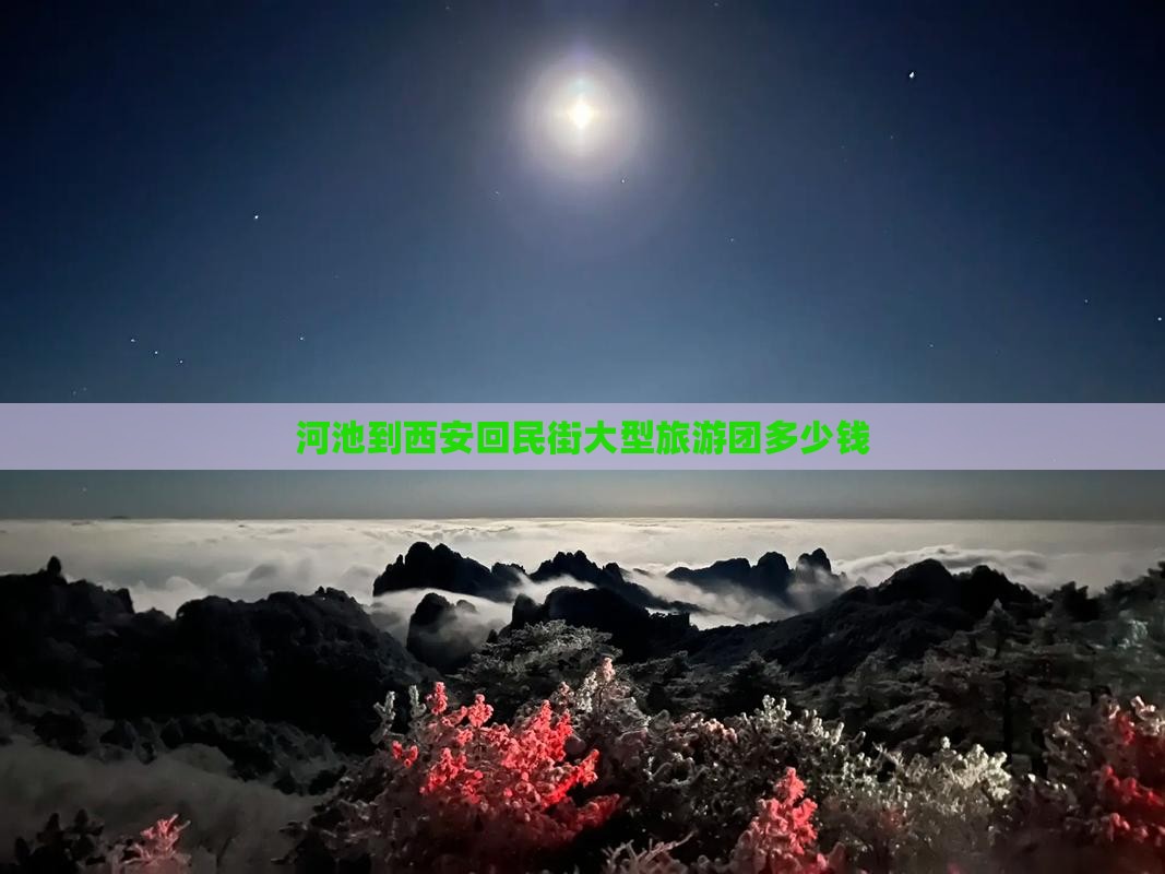 河池到西安回民街大型旅游团