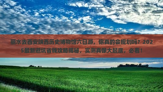 丽水去西安陕西历史博物馆六日游