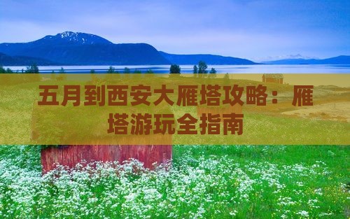 五月到西安大雁塔哪里玩