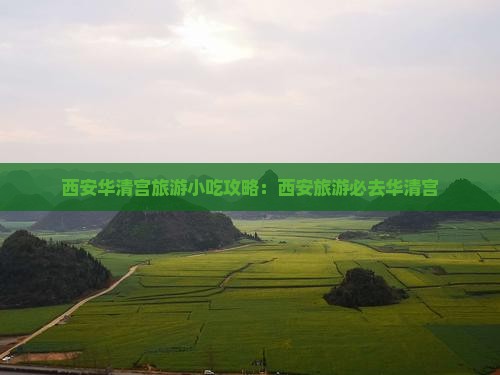四平到西安华清宫旅游小吃