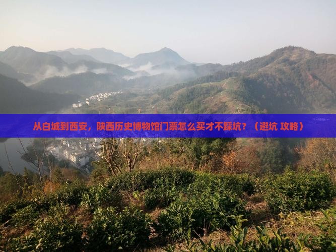 白城到西安陕西历史博物馆门票