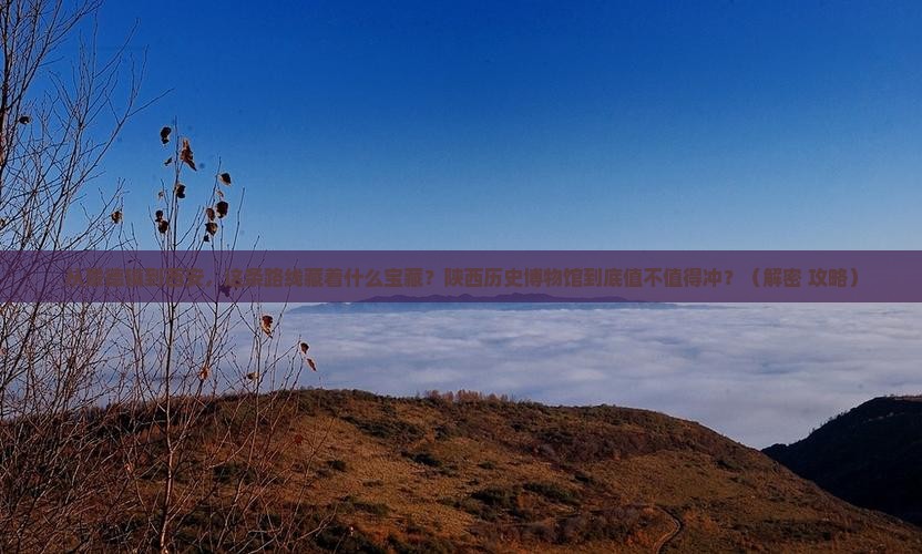 景德镇到西安陕西历史博物馆必去地