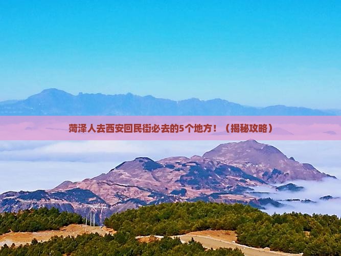 菏泽去西安回民街必去地