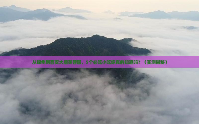锦州到西安大唐芙蓉园旅游小吃
