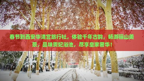 春节到西安华清宫旅行社