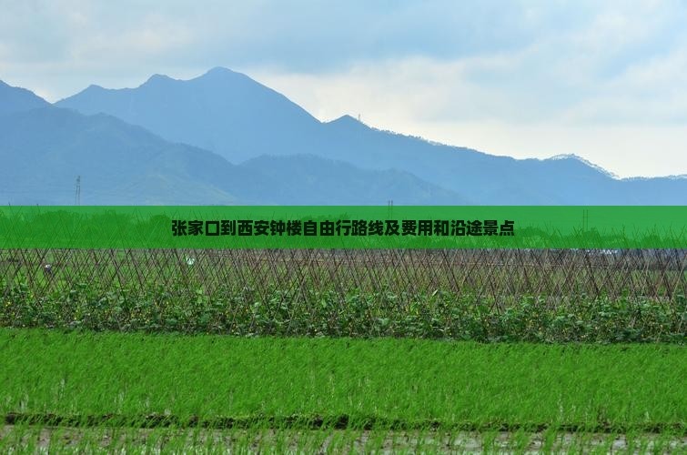 张家口到西安钟楼自由行