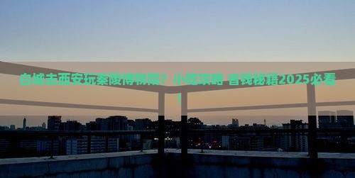 白城去西安秦始皇帝陵博物院旅游小吃