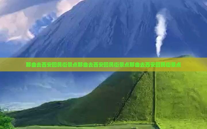 那曲去西安回民街景点