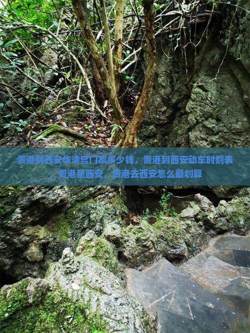 贵港到西安华清宫门票