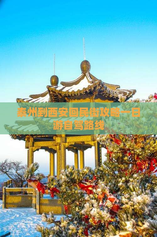 泰州到西安回民街攻略