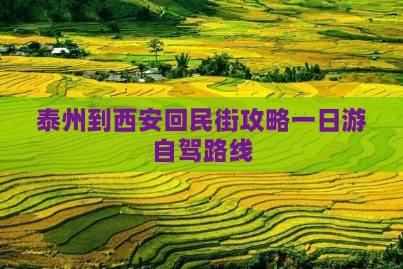 泰州到西安回民街攻略