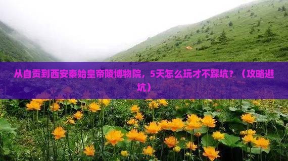 自贡去西安秦始皇帝陵博物院攻略