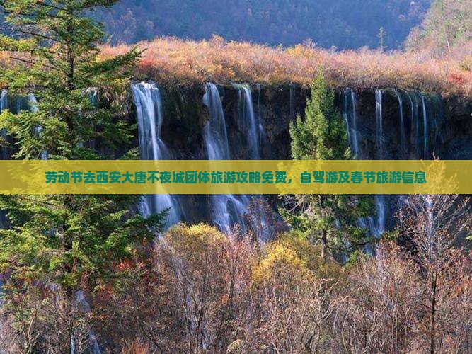 劳动节去西安大唐不夜城团体旅游